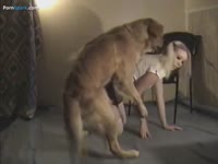 Beautiful blonde in intense dog sex with her pet